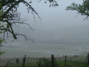 flooding rain on farm